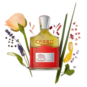 Creed Viking